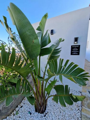 Villa Lomy Casares 5