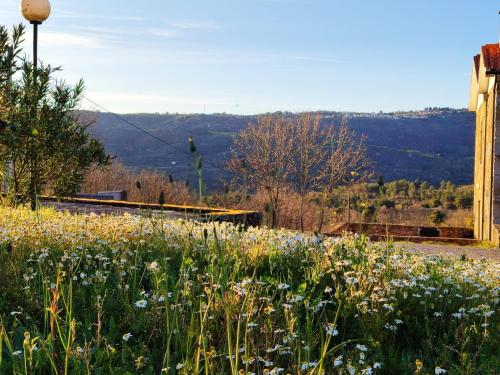 Quinta dos Carvalhais - Serra da Estrela