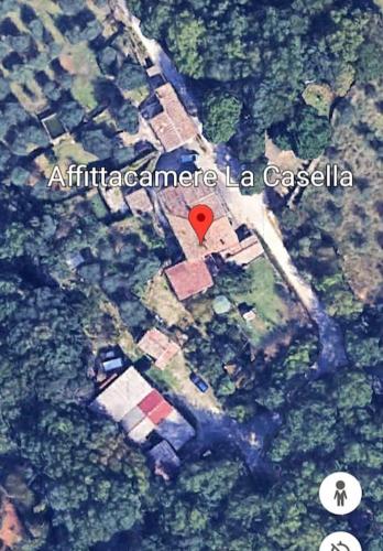 Wild House nel bosco via Francigena Monteriggioni