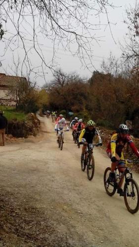 Wild House nel bosco via Francigena Monteriggioni