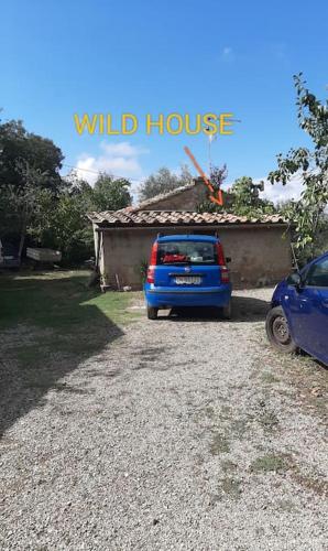 Wild House nel bosco via Francigena Monteriggioni