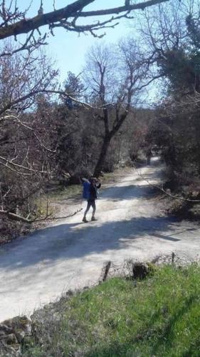 Wild House nel bosco via Francigena Monteriggioni