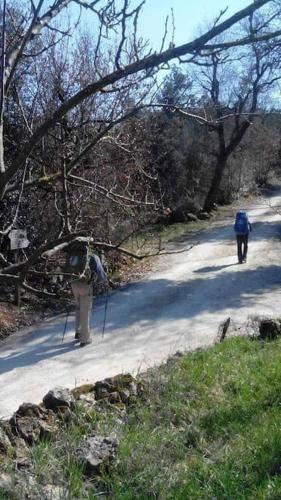 Wild House nel bosco via Francigena Monteriggioni