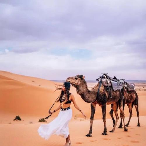 Merzouga Luxurious Camp