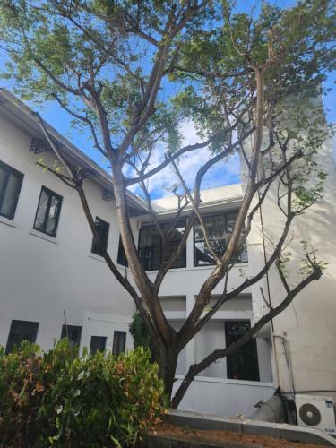 Casco Viejo Loft de 150 m2 492 feet - image 2