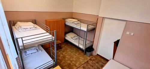 Bunk Bed in Mixed Dormitory Room