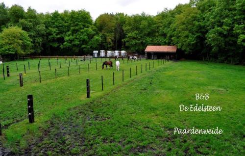 B&B De Edelsteen – Zutendaal, AL