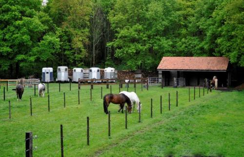 B&B De Edelsteen – Zutendaal, AL