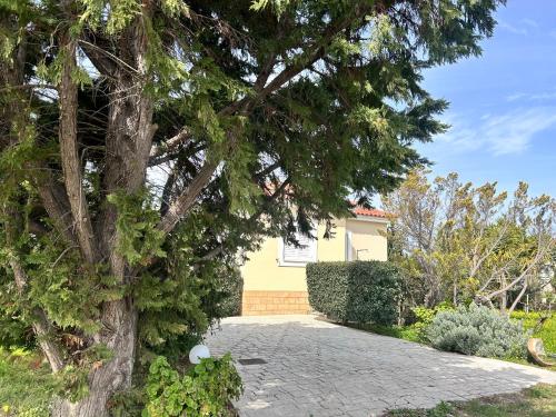 Orfanos Houses No2 in Agios Georgios