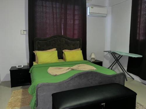 Luxurious house in Paramaribo Zorg en Hoop - image 4
