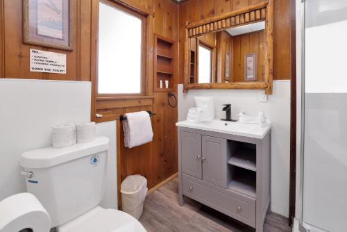 Little Pines-102 by Big Bear Vacations - image 11