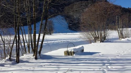 Am Schlierbach - image 7