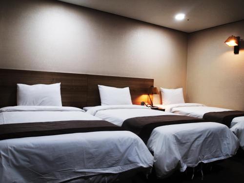 Golden City Hotel Dongdaemun, Soul (fotografie 4)