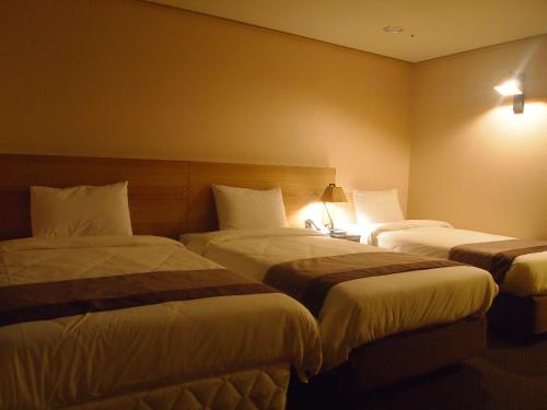 Golden City Hotel Dongdaemun, Soul (fotografie 5)