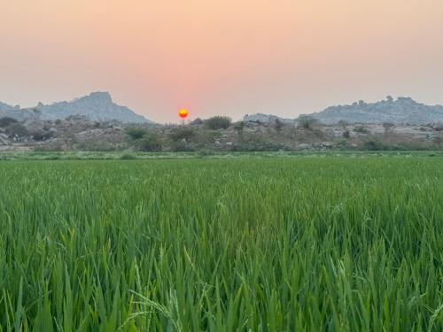 Hill Stone View Hampi