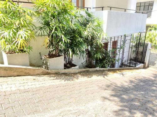 Comfortable and serene cottage surrounded with palms and tamarind tree