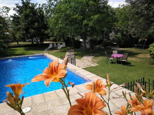 Family home with pool and large garden - Accommodation - Becerril de la Sierra