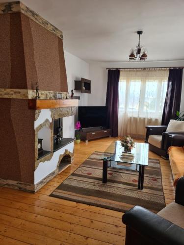 Koplietošanas atpūtas telpa ar TV, Casa Nico in Coșna