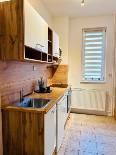 Studio Apartment Bluebell, Bratislava (photo 8)