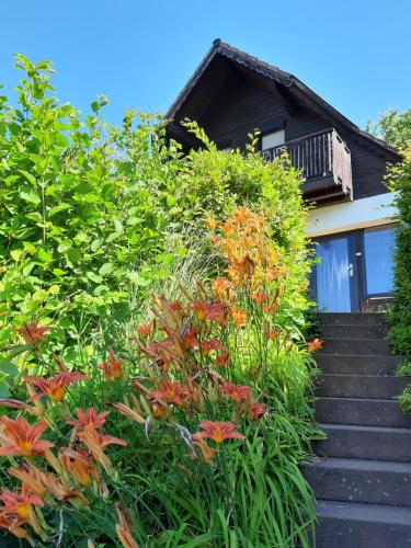 Odenwald Lounge - ehemals Ferienhaus Bergblick - Reichelsheim