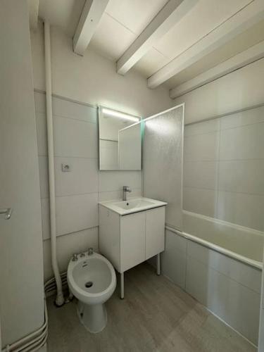 Joli T3 duplex Compans Cafarelli, Toulouse (fotografie 3)