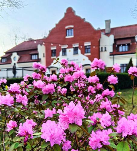 Grand Sal - Hotel - Wieliczka