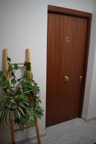 FIBES Lux Sevilla Este. Room Type - Superior Studio