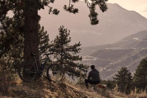 Grand Forest Metsovo - image 5