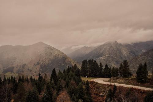 541660165 Grand Forest Metsovo - Leading Hotels of the World