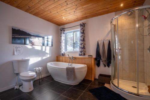 Lake front in the woods Newly furnished in Сен-Дідас