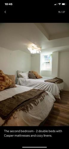 2 Bedroom by Zoo, Metro, Park and Embassies in Forest Hills - Best Location in Washington, USA