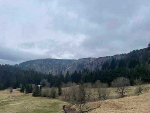 Appartement - Au cœur du Lac Blanc