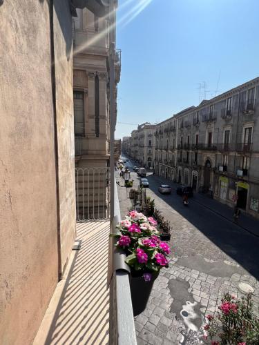 San Giuliano Palace - image 4