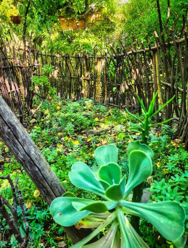 El Jardin, Eco Cabañas Boutique