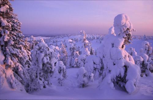 Hotel Royal Ruka - image 6