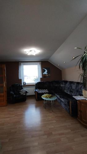 Chess Apartament - Apartment - Augustów