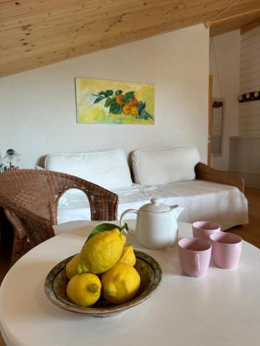 Strohballenhaus Valle delle Rose in Barchi (Pesaro)