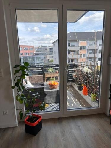 modern appartment near airport, Düsseldorf (fotografie 4)