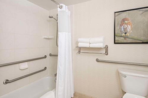King Room with Accessible Tub - Mobility Access image 4