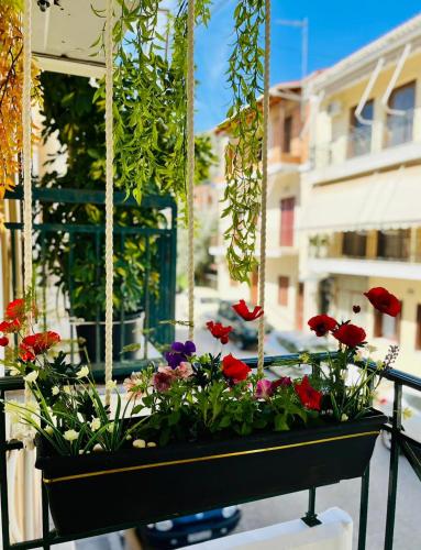 Dreamy Luxury Studio