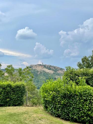 La Casetta della valle di Civita - Apartment - Bagnoregio