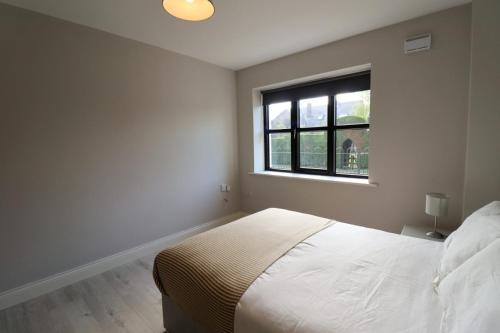 Inviting 2-Bed Apartment in Dublin - image 9