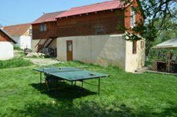 Pension Zamolxe in Retezat