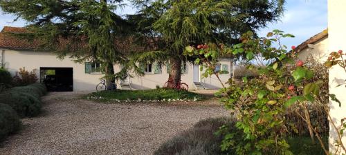 Viesnīcas āriene, L'alambic in Gondeville
