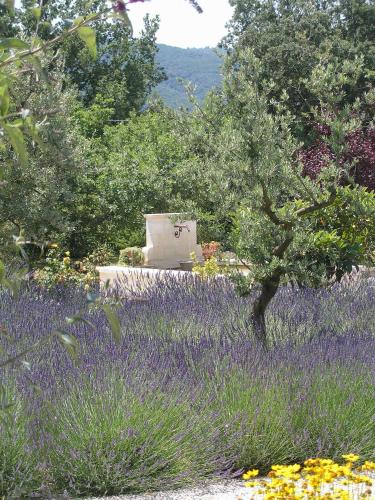 Clos des Lavandes - Luberon