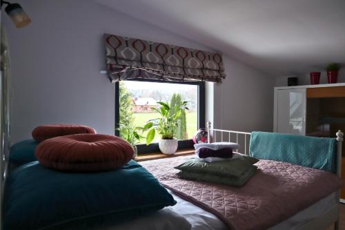 Apartament Nawojowski