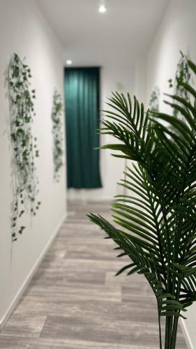 Secret Garden in Roubaix