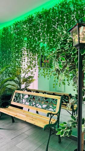 Secret Garden in Roubaix