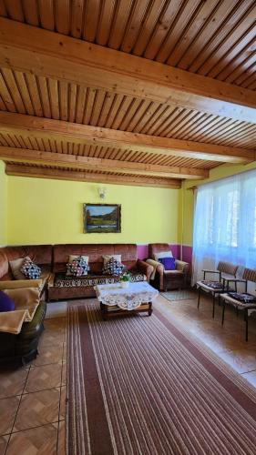 Közös társalgó / TV, Casa de vacanta Julius in Pádis