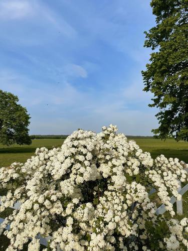 Pension Müritzblick